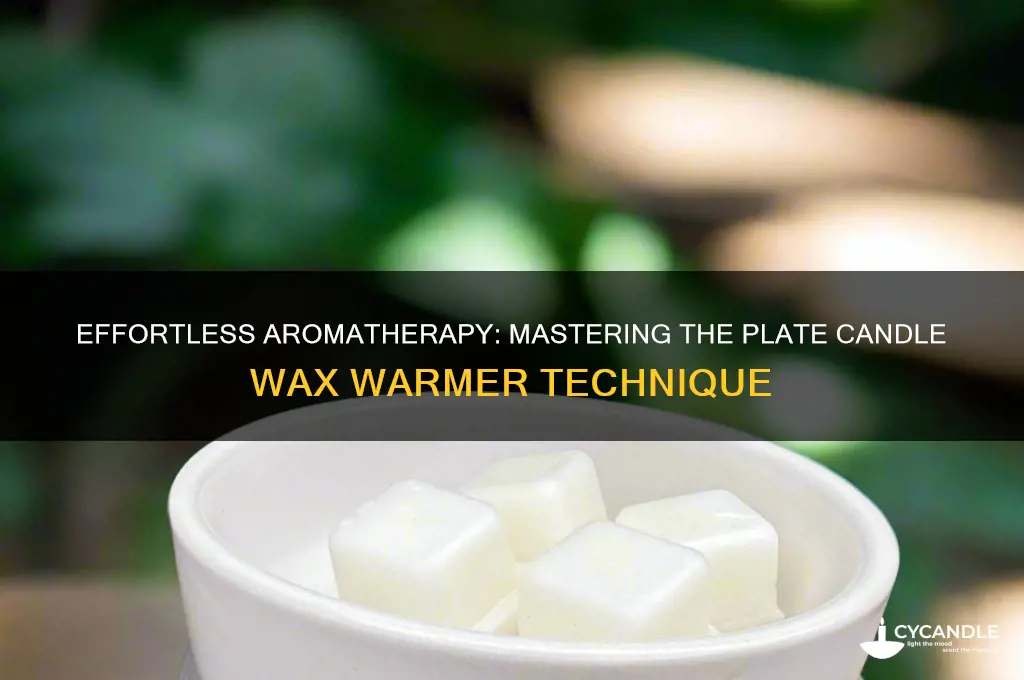 how to use plate candle wax warmer