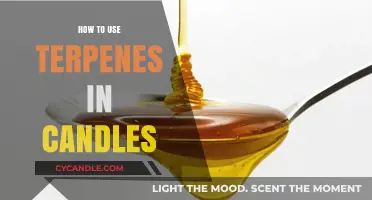 Enhance Your Candles with Terpenes: Aromatic Benefits and Usage Tips