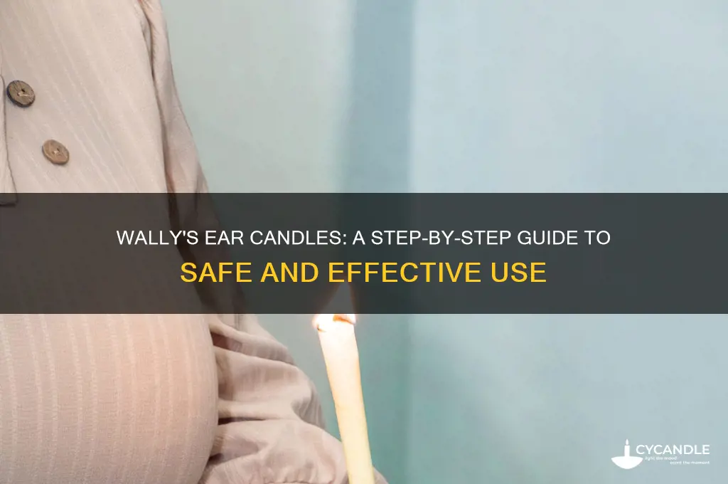 how to use wally