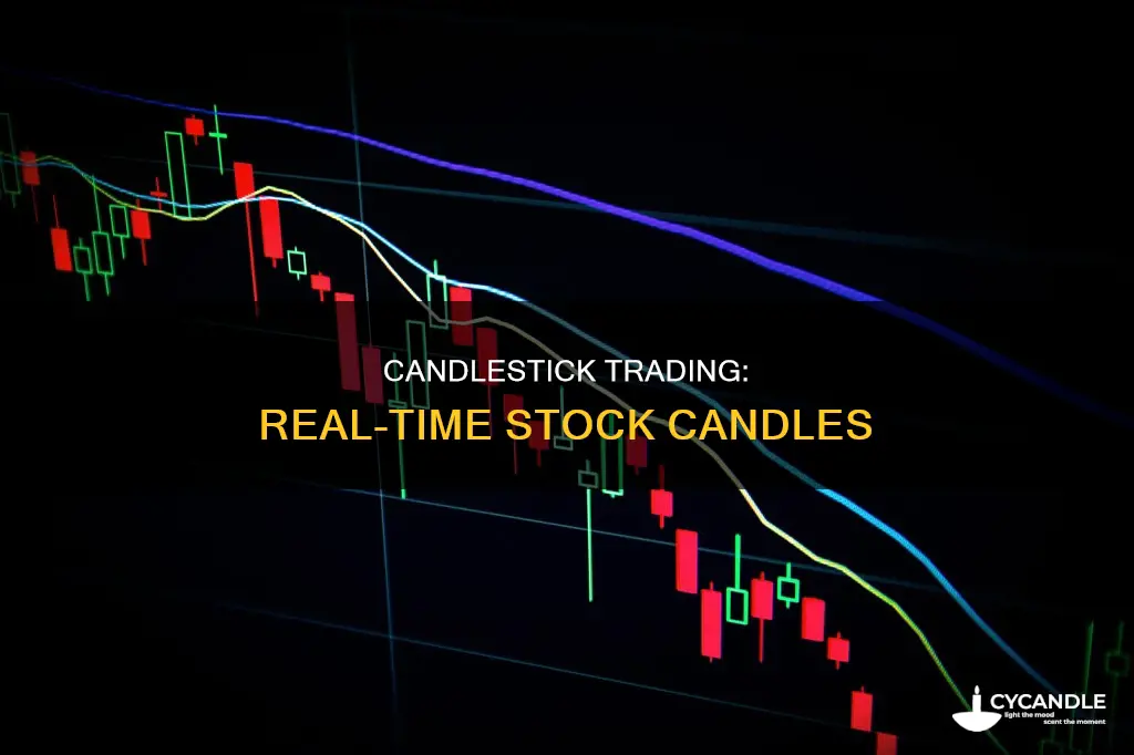 how to view a stock