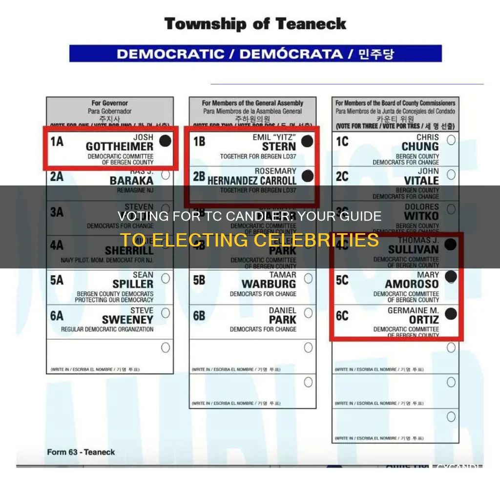 how to vote celebrities for tc candler