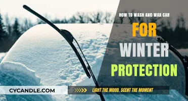 Winterize Your Ride: The Ultimate Guide to Car Washing and Waxing