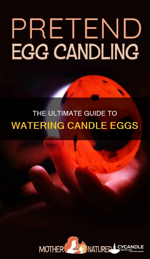 how to water candle eggs