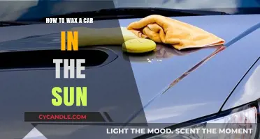 Sunny Day Car Waxing: Tips for a Flawless Finish