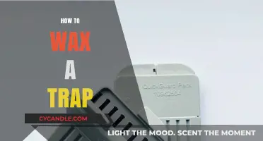 Mastering the Art of Waxing Traps: A Comprehensive Guide