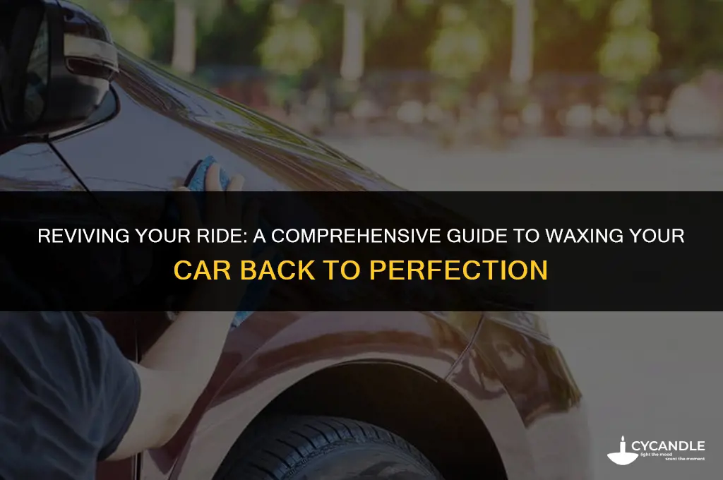 how to wax back