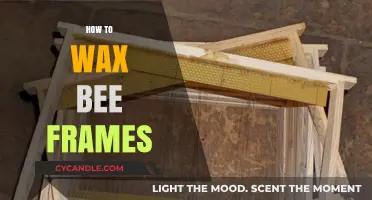Beekeeping Basics: The Art of Waxing Bee Frames for Optimal Hive Health