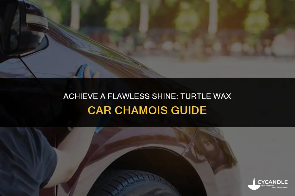 how to wax car turtle wax chamier