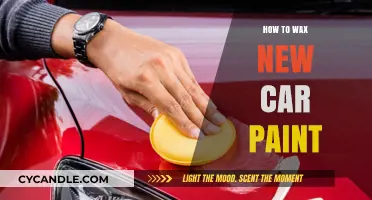 Revitalize Your Ride: The Ultimate Guide to Waxing New Car Paint