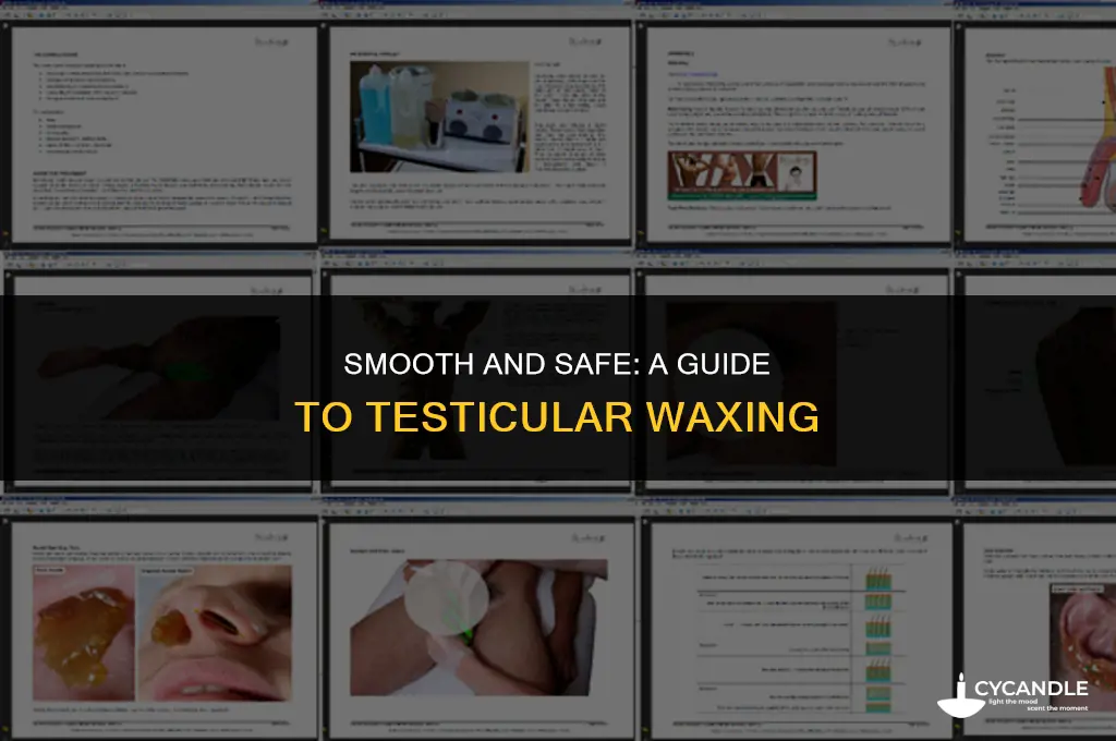 how to wax testicles