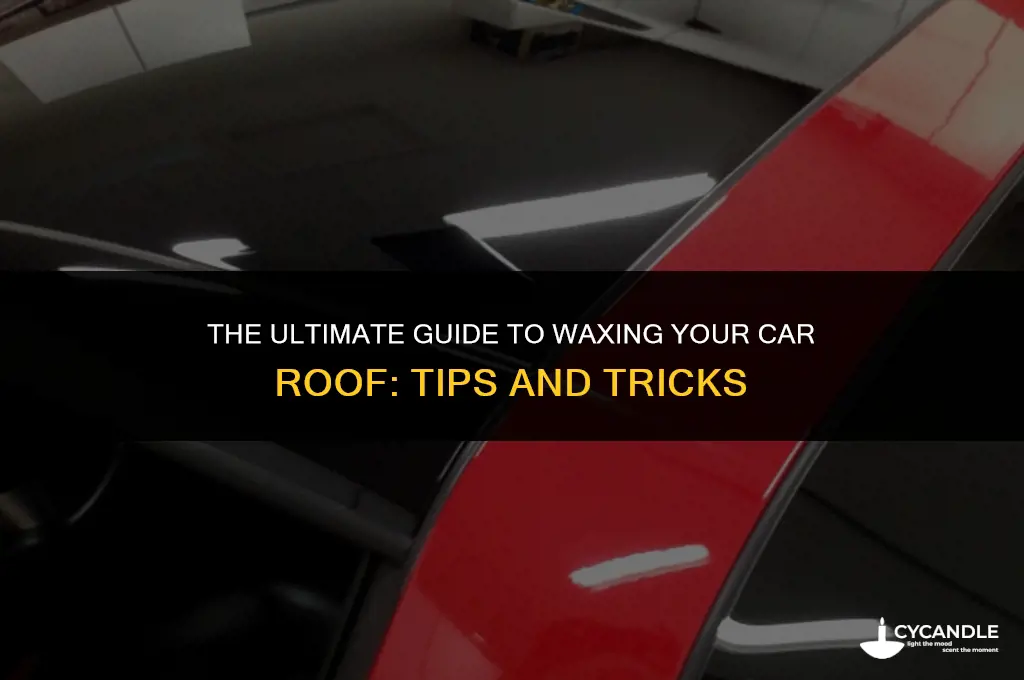 how to wax the roof of a car