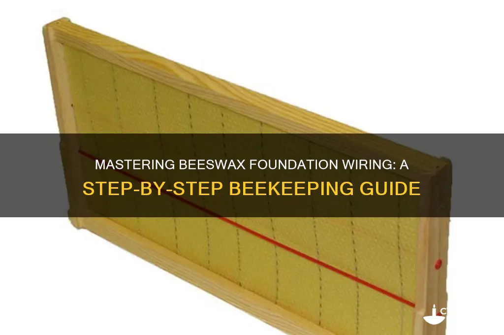how to wire beeswax foundation