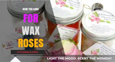 Eternal Beauty: The Art of Caring for Wax Roses