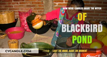 The Art of Candle Making in The Witch of Blackbird Pond