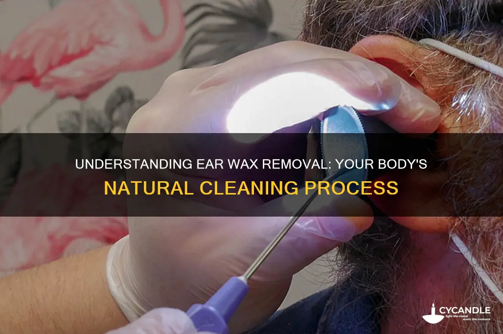 how your body removes ear wax