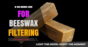 Micron Precision: Is 100 Micron Ideal for Beeswax Filtering?
