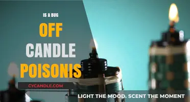 Bug-Off Candles: Poisonous or Not?