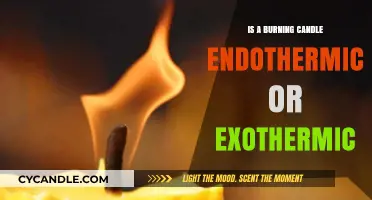 Candle Chemistry: Unveiling the Exothermic Truth Behind Burning Flames