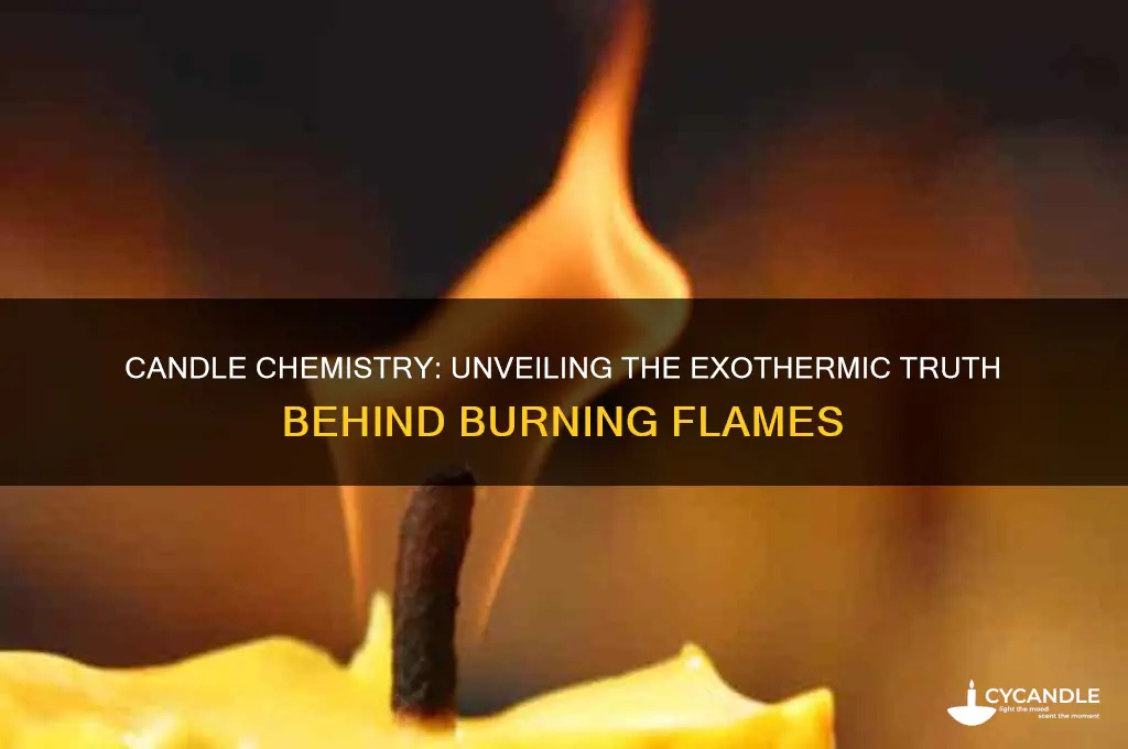 is a burning candle endothermic or exothermic