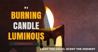 Is a Burning Candle Luminous? Exploring Light and Flame Science
