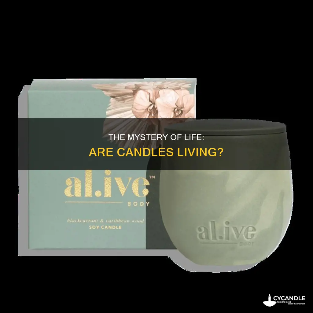is a candle a living thing