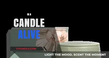 What Defines Life? The Candle's Dilemma