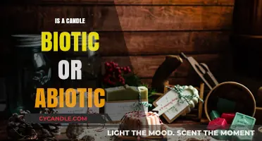 The Nature of Candles: Biotic or Abiotic?