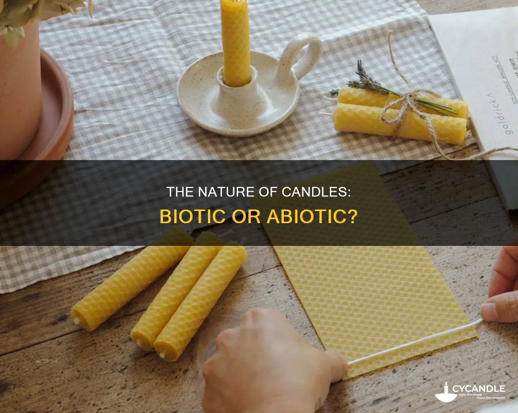 is a candle biotic or abiotic