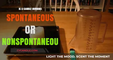Candle Burning: Spontaneous or Nonspontaneous? Unraveling the Chemistry