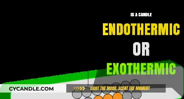 Candle Chemistry: Endothermic or Exothermic Reaction?