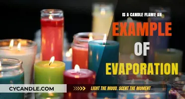 Candle Flames: Evaporation and Its Visual Proof
