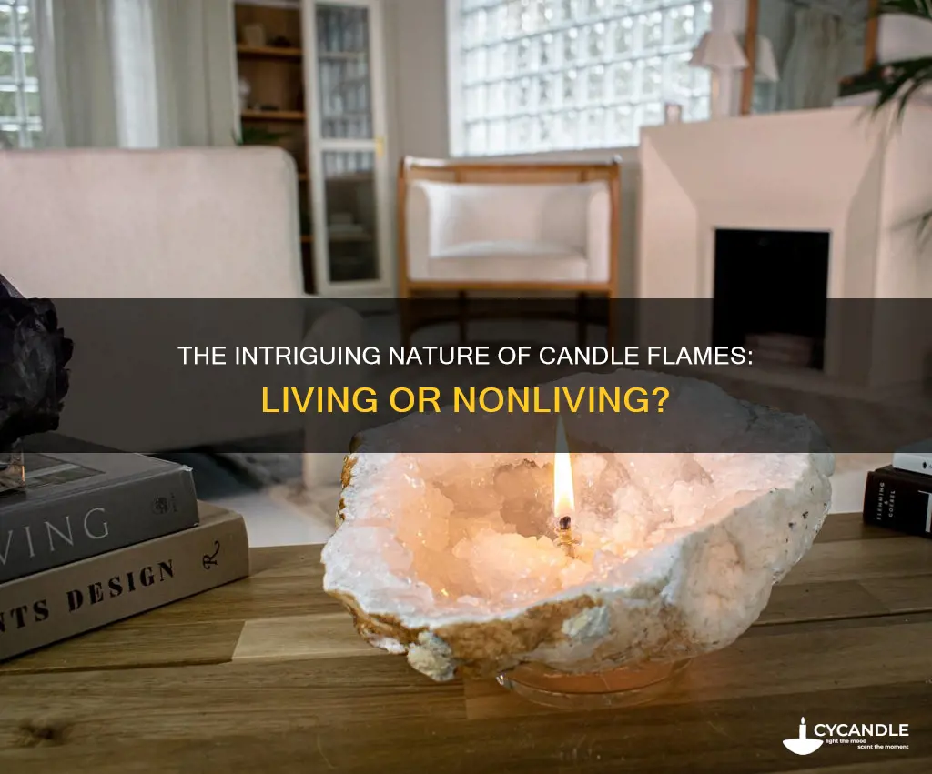 is a candle flame living or nonliving
