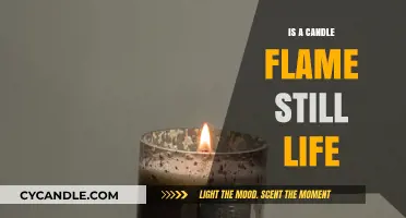 The Mystery of Candle Flames: Still Life or Not?