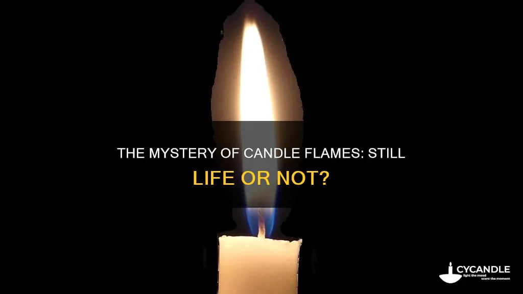 is a candle flame still life