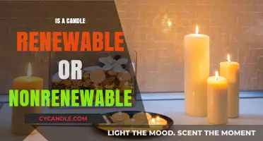 Candles: Renewable or Nonrenewable Energy Source?