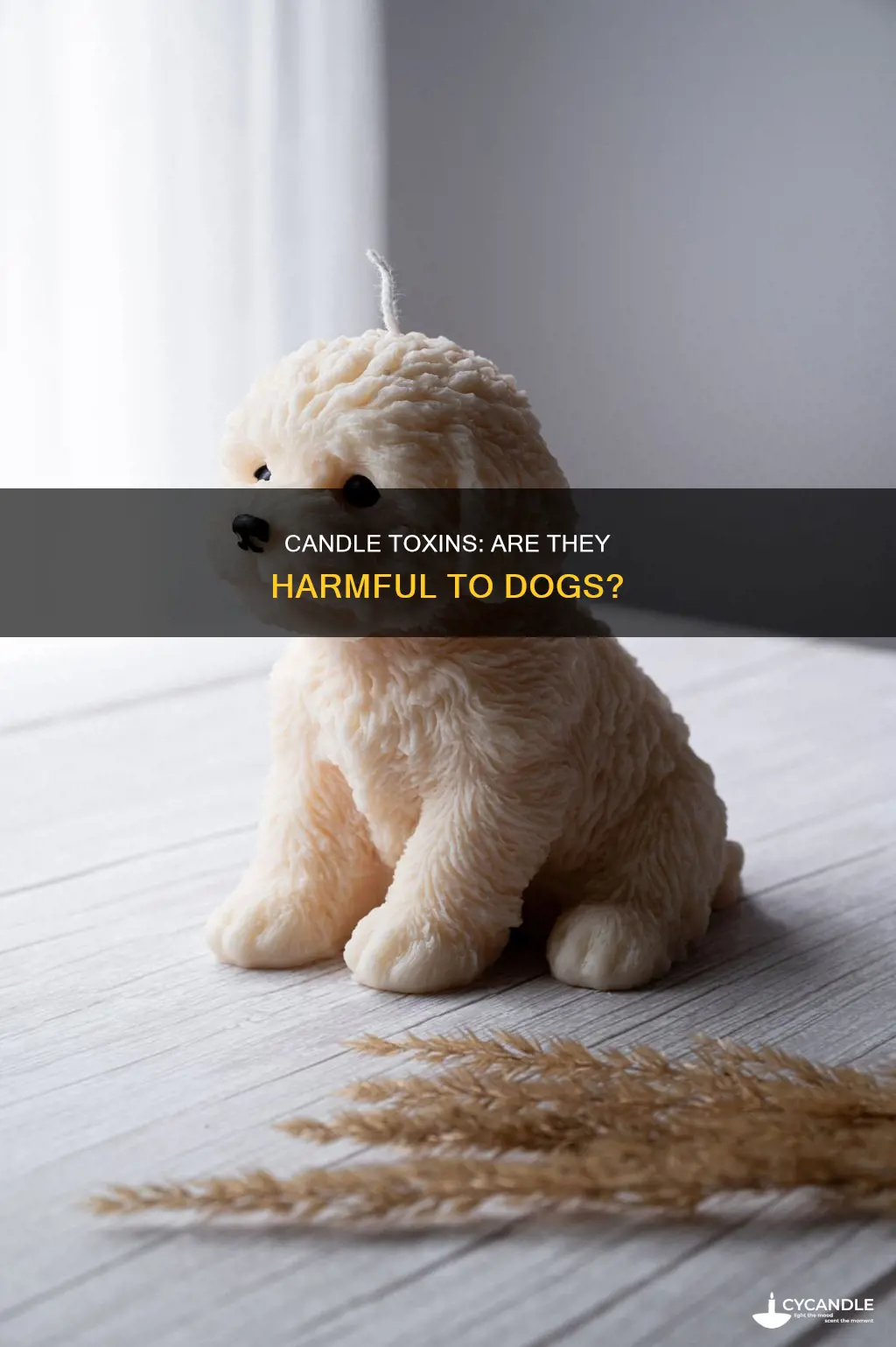 is a candle toxic to dogs
