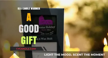 Candle Warmers: The Perfect Gift for Any Occasion?