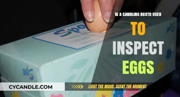 Candling Booths: Essential Tools for Inspecting Egg Quality and Freshness