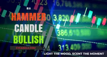 Hammer Candlestick: A Bullish Signal for Traders