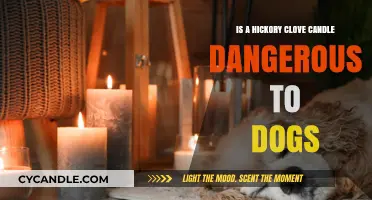 Hickory Clove Candles: Are They Safe for Dogs?