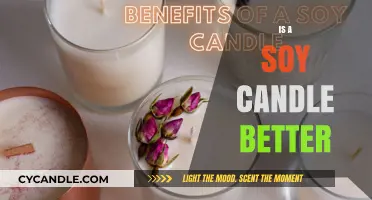 Soy Candles: Better for You and the Environment