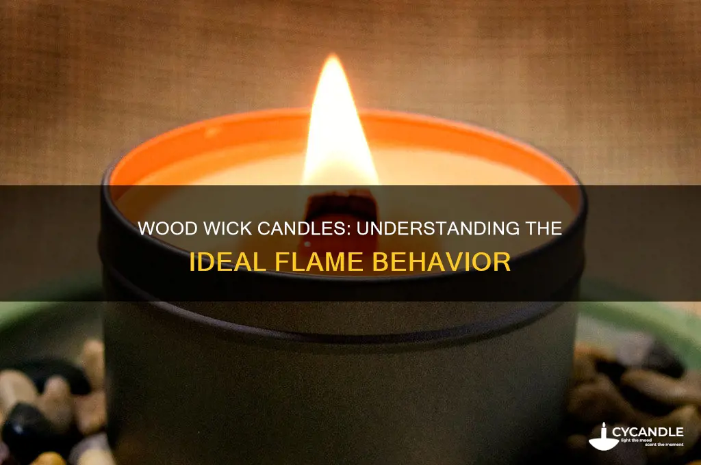 is a wood wick candle supposed to have a flame