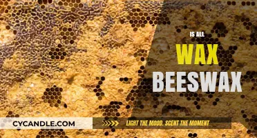 Is All Wax Beeswax? Uncovering the Truth About Wax Types