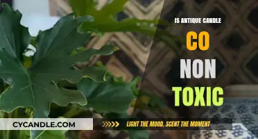 Candle Chemistry: Antique Candle Co's Non-Toxic Promise