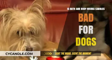 Are Bath & Body Works Candles Safe for Dogs?