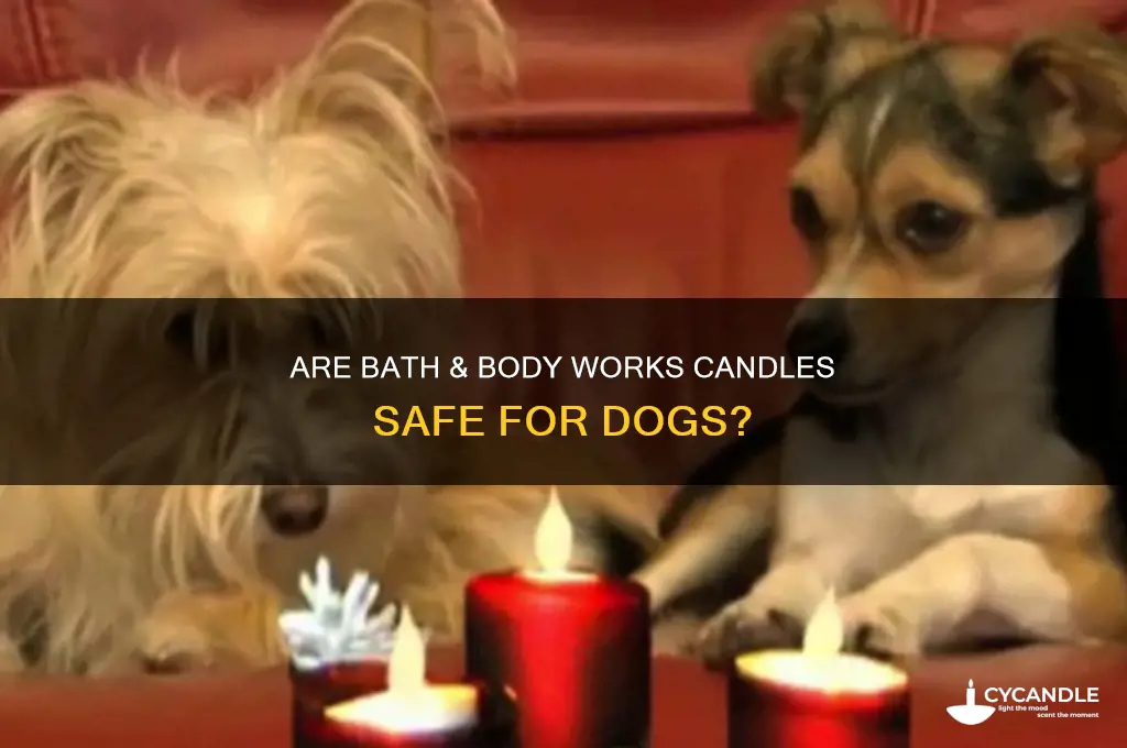 is bath and body works candles bad for dogs