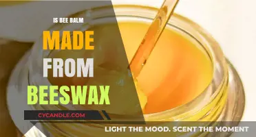 Is Bee Balm Made From Beeswax? Unraveling the Natural Skincare Myth