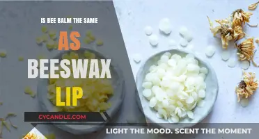 Bee Balm vs. Beeswax Lip Balm: Understanding the Key Differences