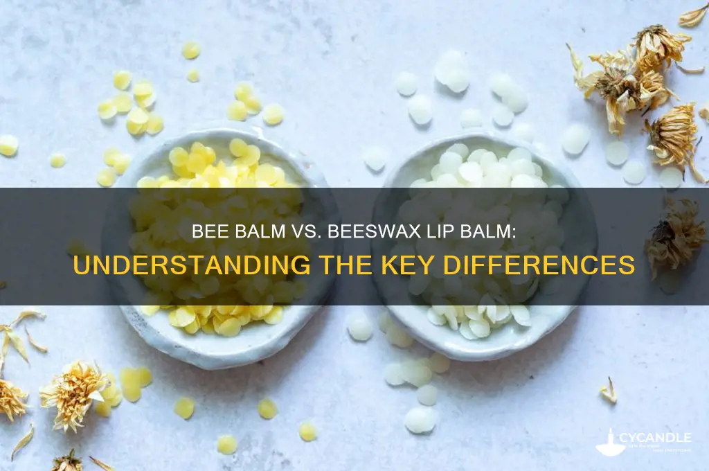 is bee balm the same as beeswax lip