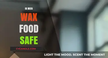 Exploring the Edibility and Safety of Beeswax in Food